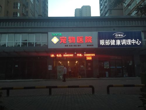 dog秀宠物会所