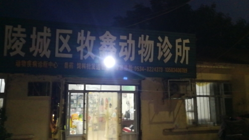陵城区牧鑫动物诊所