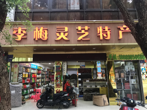 李梅灵芝特产