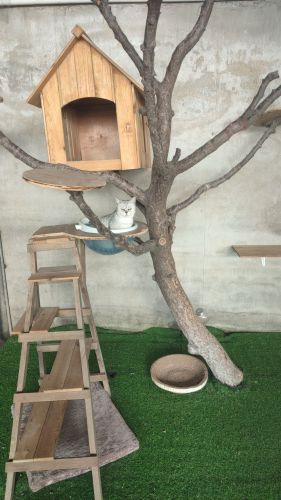 乡野时光动植物园