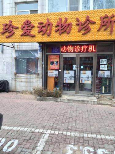 珍爱动物诊所