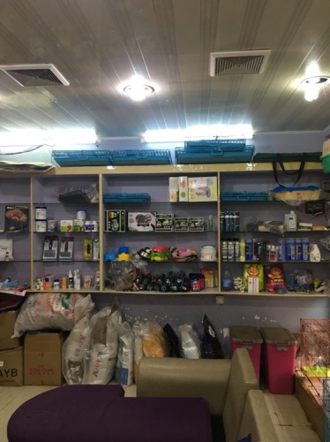 兽宠动物诊疗中心(南山路店)