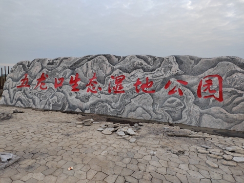 五龙口生态湿地公园
