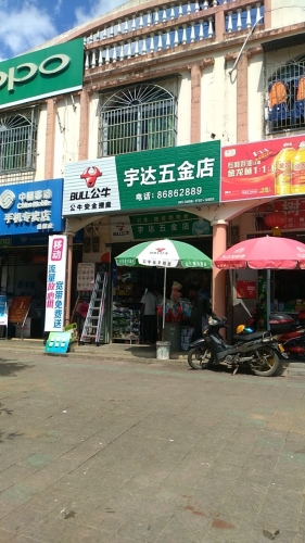 崔树飞副食店