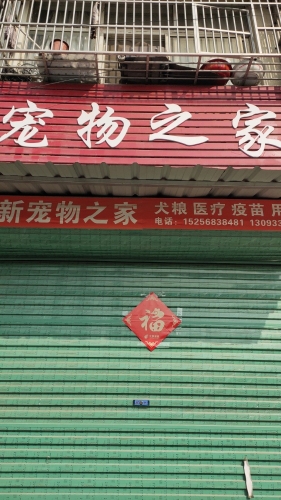 动物医院