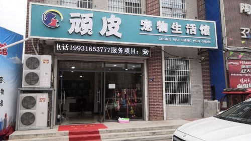 顽皮宠物诊疗中心