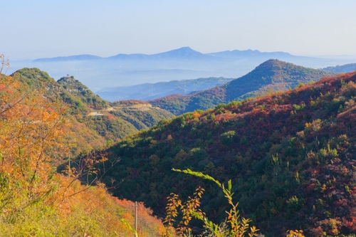 长寿山国家森林公园