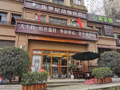 侏罗纪动物医院