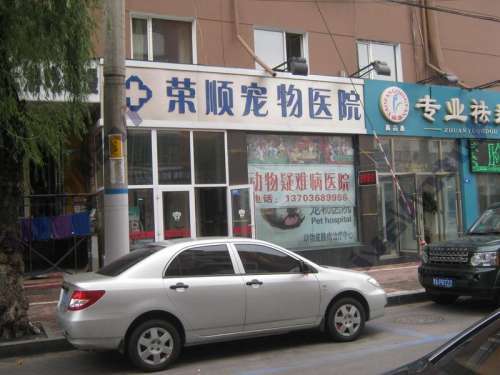 荣顺宠物疑难病医院