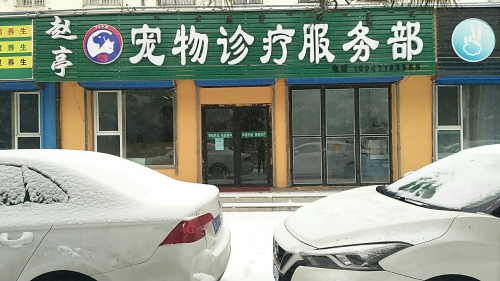 赵亭宠物诊疗服务部
