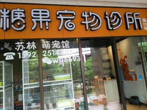糖果宠物诊所