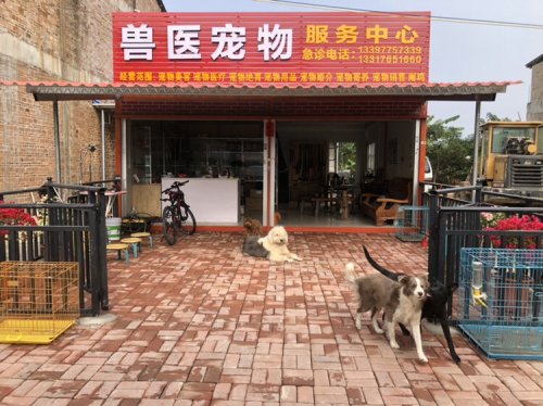 兽医宠物服务中心