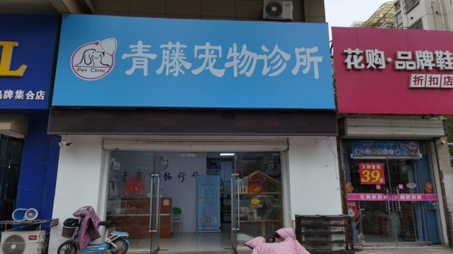 青藤宠物诊所