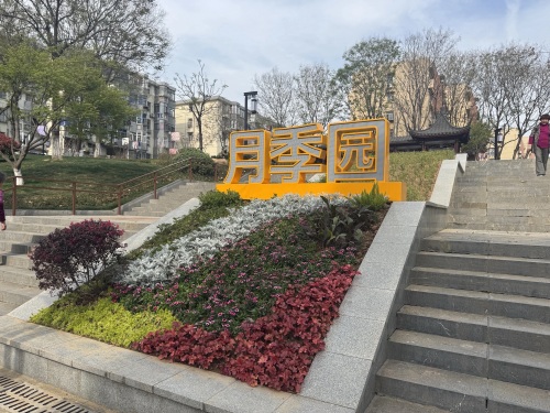 马小白口袋公园·月季园