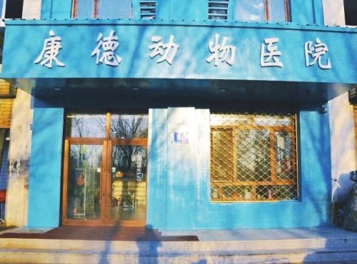 康德动物医院