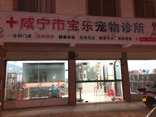 宝乐宠物诊所