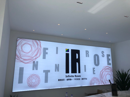 IR 无限玫瑰(爱必达三亚城市中心仓)