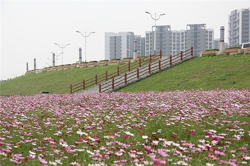 绿岛湖湿地公园