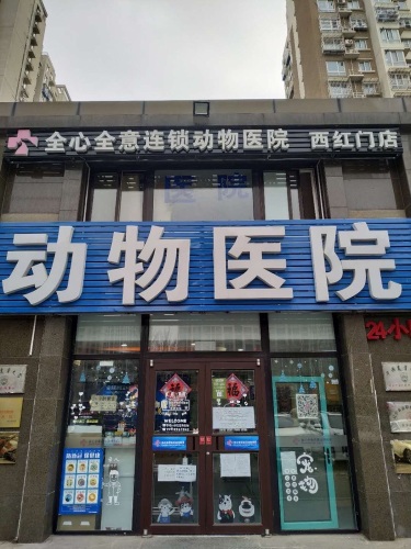 全心全意连锁动物医院(西红门店)