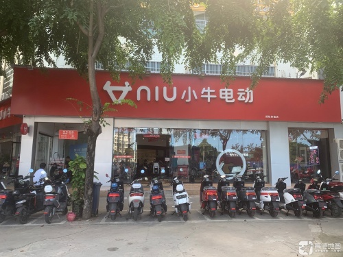 小牛电动(胜利路)