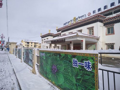 石渠县藏医院