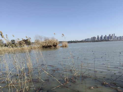 龙子湖北公园