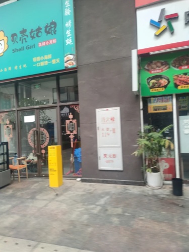 贝壳姑娘(夏日广场店)