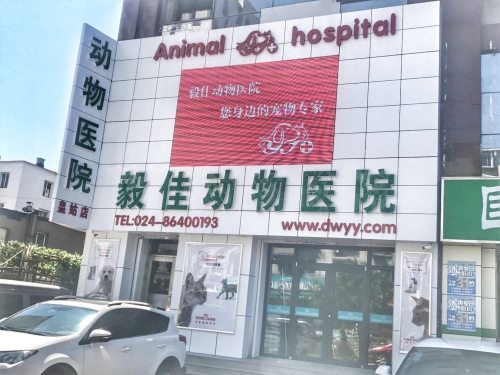 毅佳动物医院(皇姑店)