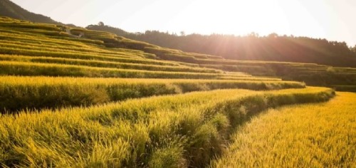 连山欧家梯田