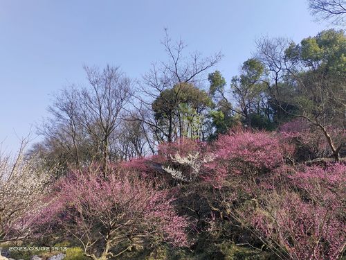 湖州太湖旅游度假区-小梅山景区