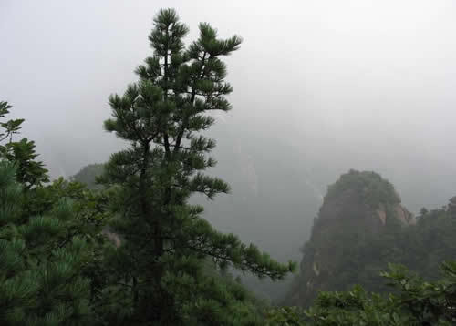青龙山[辽宁]
