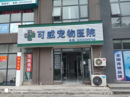可威宠物医院24小时