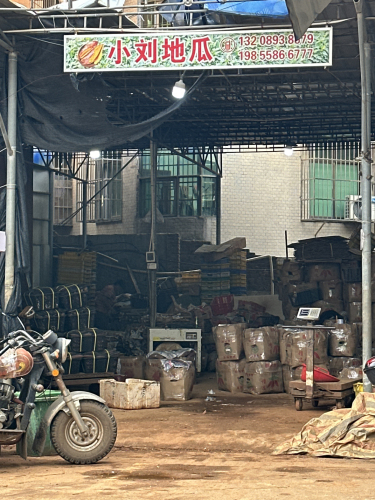 小刘地瓜