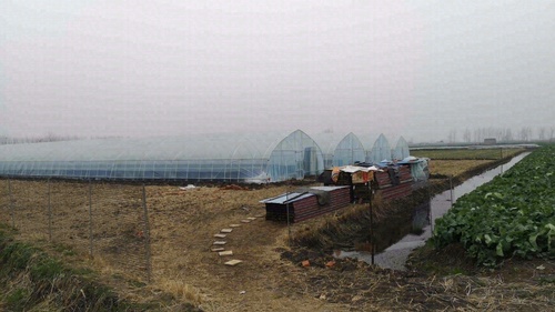 兴化市湖润农业发展有限公司的第1张图片的图片资料