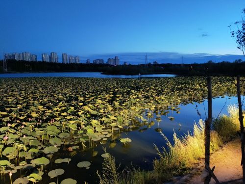 油田广场