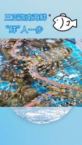 三亚迦南海鲜(友谊美食广场店)