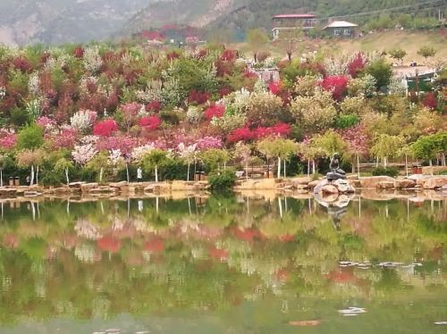 玉泉山城郊森林公园