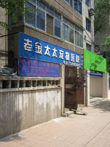 老金太太宠物诊所