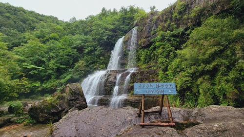 总阳竹林瀑布