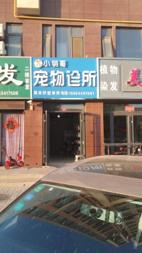 小明哥宠物诊所