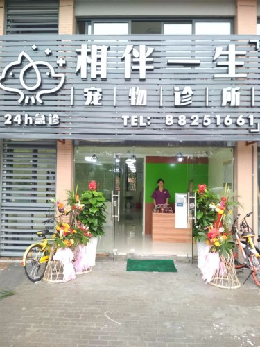 相伴一生宠物诊所