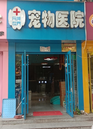 完美世界宠物诊所