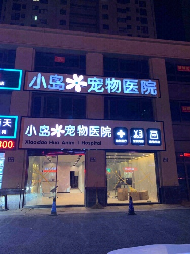 小岛花宠物医院