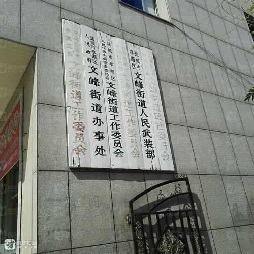 中共亭湖区委文峰街道政法委员会的第3张图片的图片资料