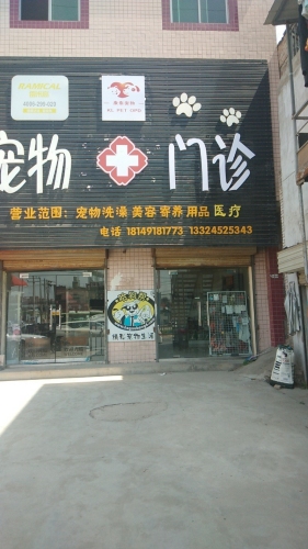 康泰宠物门诊