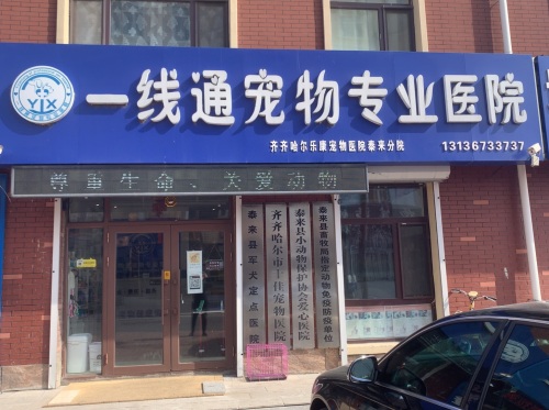 一线通宠物专业医院