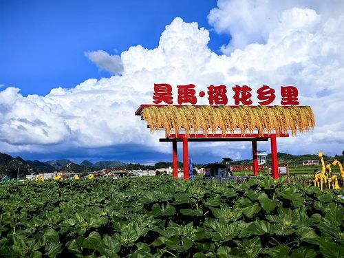 昊禹·稻花乡里美丽田园