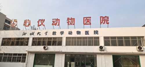 心仪动物医院