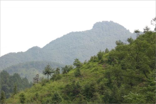 九重山国家森林公园