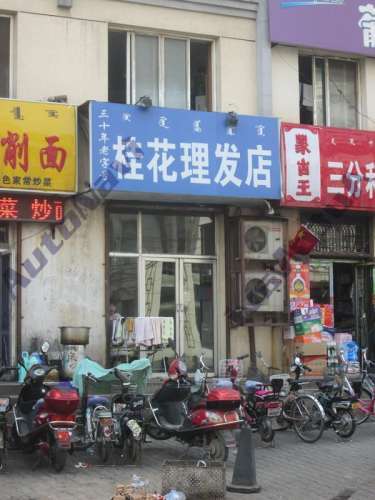 桂花理发店(乌兰恰特东街店)